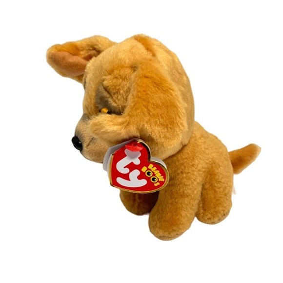 New Ty Beanie Boos 6 in Tall Zuzu Dpg puppy Gold Glitter Eyes Chihuahua - Picture 7 of 7